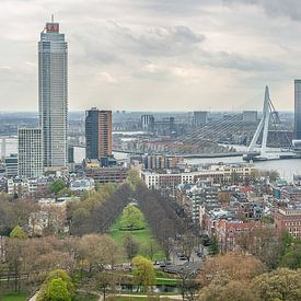 Skyline Rotterdam van Johan Landman