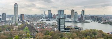 Ligne d'horizon de Rotterdam sur Johan Landman