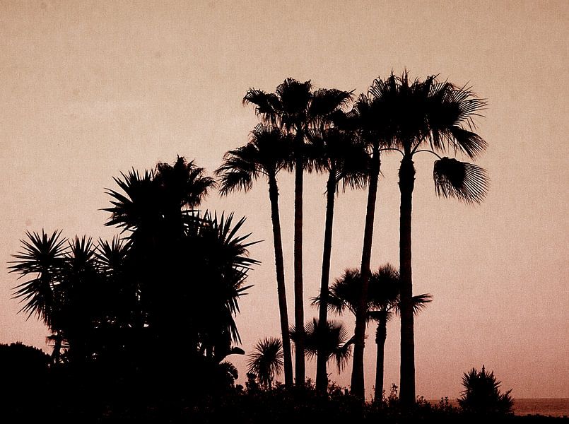 palmtrees red von Nienke Stegeman