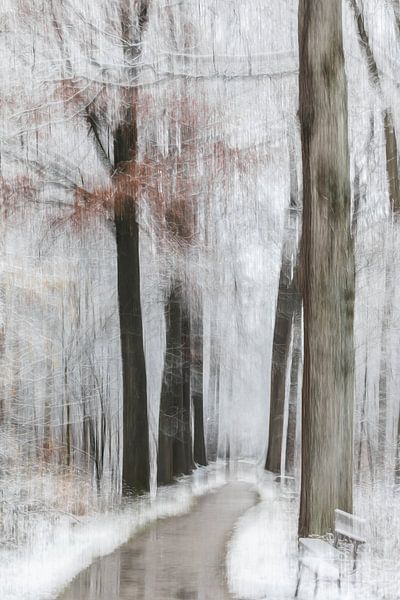 Winter van Ingrid Van Damme fotografie