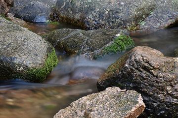 Rocks with moss by Cor Brugman