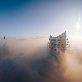 Elbphilharmonie Hamburg in de mist van thePhilograph
