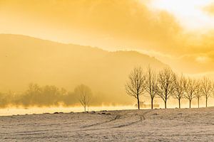 morning mist van Heinz Grates