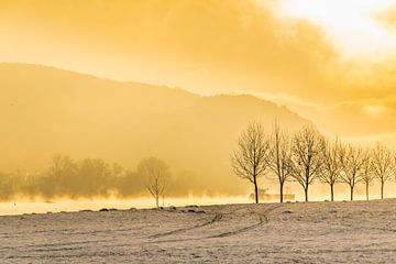 morning mist van Heinz Grates