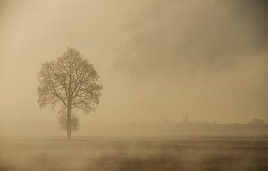 Herbst von Guus Jamin