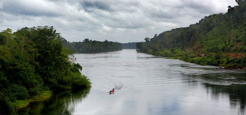 Suriname river by Peter R