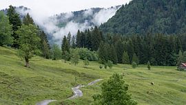 Trekking around Oberstaufen in Bavaria - Allgaeu in Springtime - Holiday in Green Landscape von Sebastian Czech