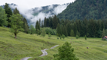 Trekking around Oberstaufen in Bavaria – the Allgäu in spring – a holiday in the countryside
