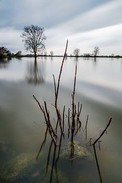 Spiegelecht von Mark Bolijn