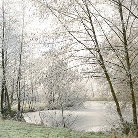 Winterlandschaft von Corinne Welp