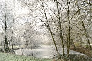 Paysage d'hiver