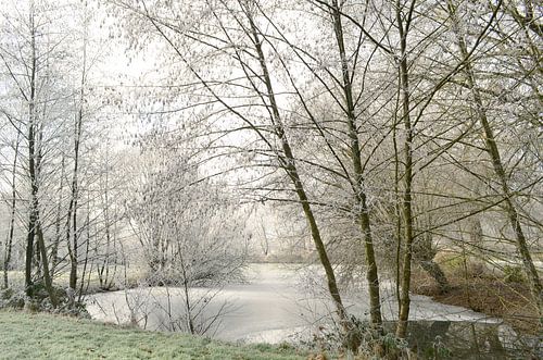 Winterlandschaft von Corinne Welp