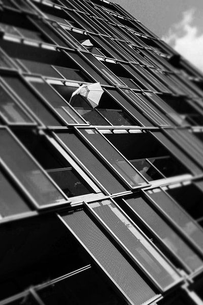 Sunny weather by Sense Photography