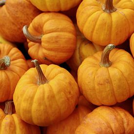 Pumpkin van Annasus Nenolas