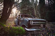 Lost car in the woods by Vivian Teuns thumbnail