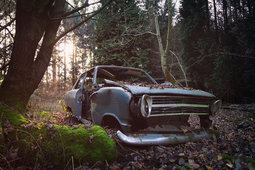 Lost car in the woods by Vivian Teuns