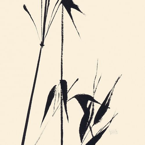 Bamboo II, Chris Paschke