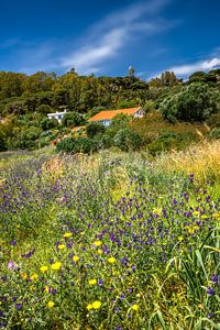 Landschaft in Andalusien / Spanien