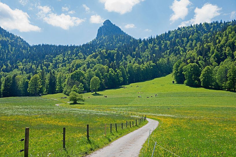 Wanderweg auf den Leonhardstein Kreuth von SusaZoom