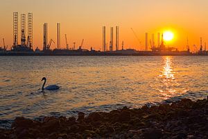 Skyline des Botlek im Hafen von Rotterdam