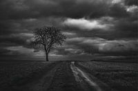 Der Weg