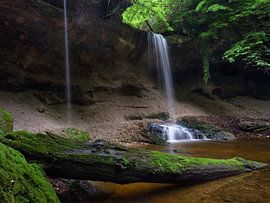 Grüne Oase im Wald, ein verwunschener Ort in Oberbayern von Christina Bauer Photos