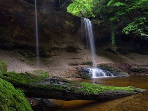 Oasis de verdure sur Christina Bauer Photos