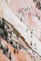 Pastel kleurige bergen in Yellowstone, West-Amerika.