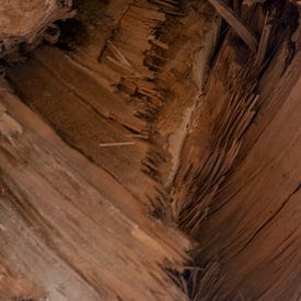 Gespleten boom 2 van SW Arts