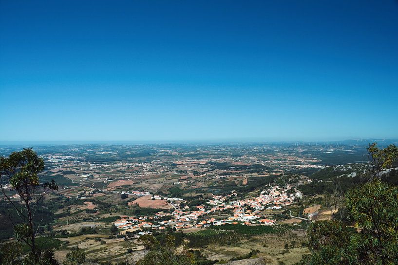 the view by Kelly Coppens