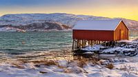 Boothuis in Winter op Sommarøya, Noorwegen van Adelheid Smitt thumbnail