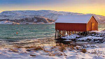 Boothuis in Winter op Sommarøya, Noorwegen van Adelheid Smitt