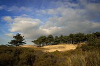 Dune landscape with Dutch skies and sand drifts.