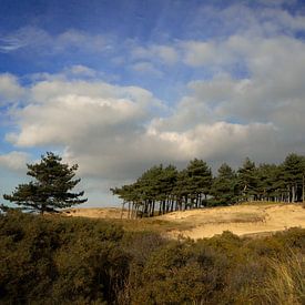 Dune landscape with Dutch skies and sand drifts. by Patricia Belkum