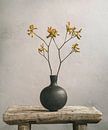 Kangaroo leg and black vase by Mariska Vereijken thumbnail