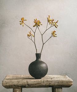 Kängurubein und schwarze Vase