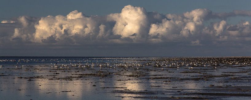 Wolken boven de drooggevallen Waddenzee bij Westhoek (Het Bildt) van Meindert van Dijk