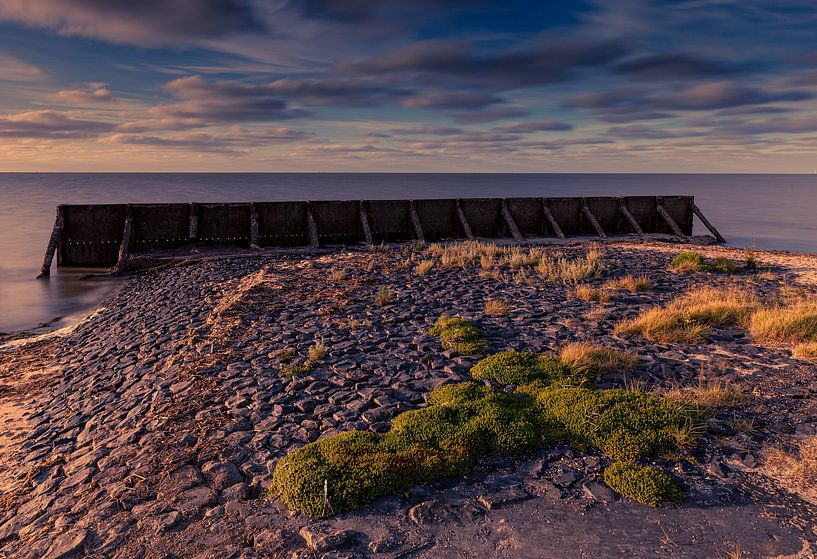 Vegetation at the old sea wall. by peterheinspictures