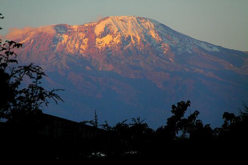 Kilimanjaro