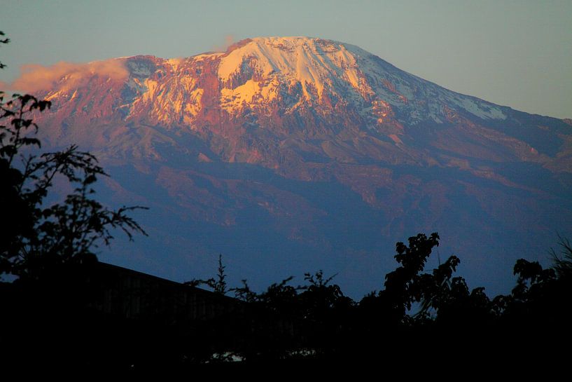 Kilimanjaro van Marvelli