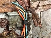 Doel, België van TAAIDesign thumbnail