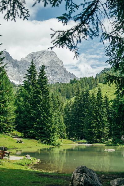 Bergsee im Grünen von Patrycja Polechonska