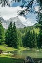 Bergsee im Grünen von Patrycja Polechonska Miniaturansicht