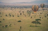 Serengeti Ballons – Magie über Tansania