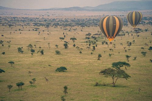Serengeti Ballons – Magie über Tansania