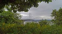 Queensferry Crossing und Forth Road  Bridge bei Edinburgh von Babetts Bildergalerie Miniaturansicht