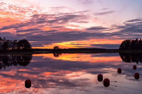 Paarse zonsondergang boven het water