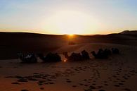 Sonnenaufgang in der Wüste von Gonnie van de Schans Miniaturansicht