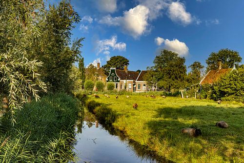De Zaanse Schans, Nederland