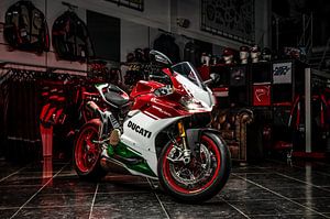 Ducati 1299 Panigale R Final Edition von Bas Fransen